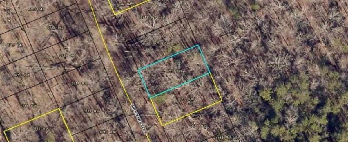 Picture of Residential Land For Rent in Martin, Georgia, United States