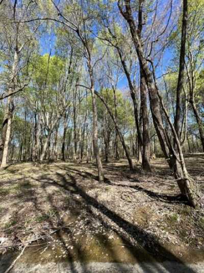 Residential Land For Sale in Lafayette, Tennessee