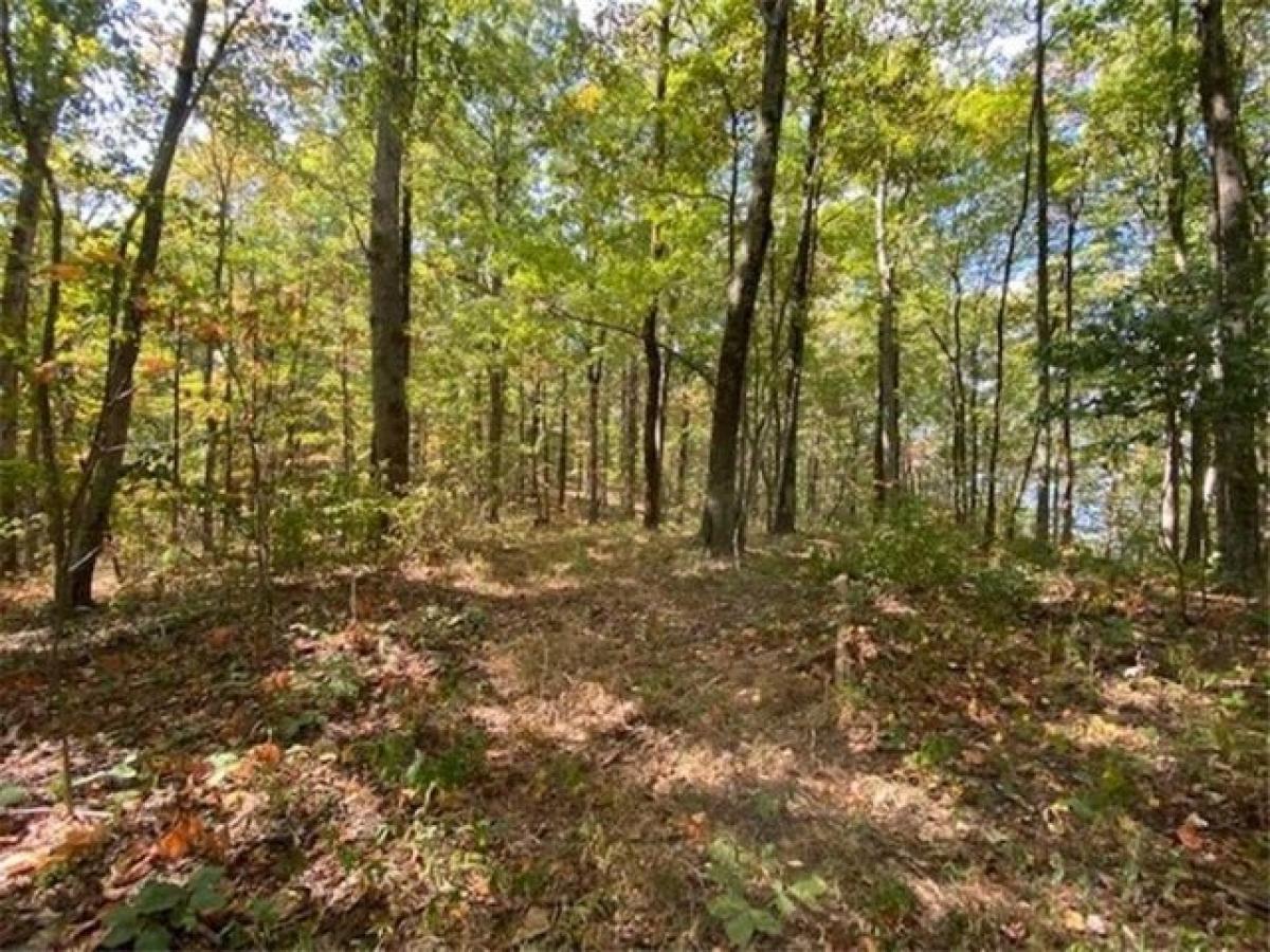 Picture of Residential Land For Sale in Hager City, Wisconsin, United States