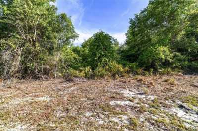 Residential Land For Sale in Crystal River, Florida
