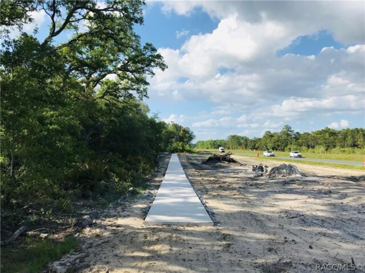 Picture of Residential Land For Sale in Homosassa, Florida, United States