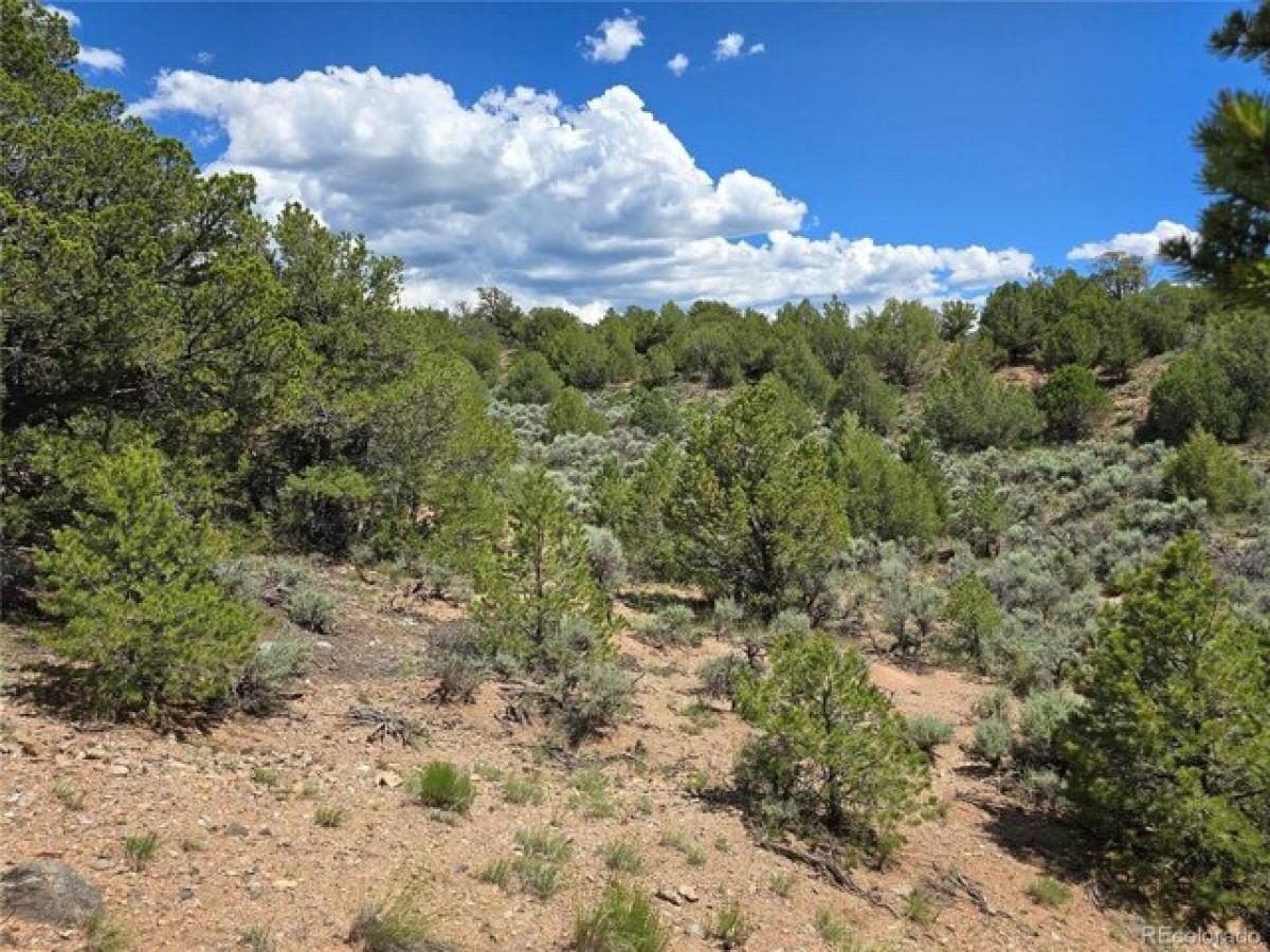 Picture of Residential Land For Rent in Fort Garland, Colorado, United States