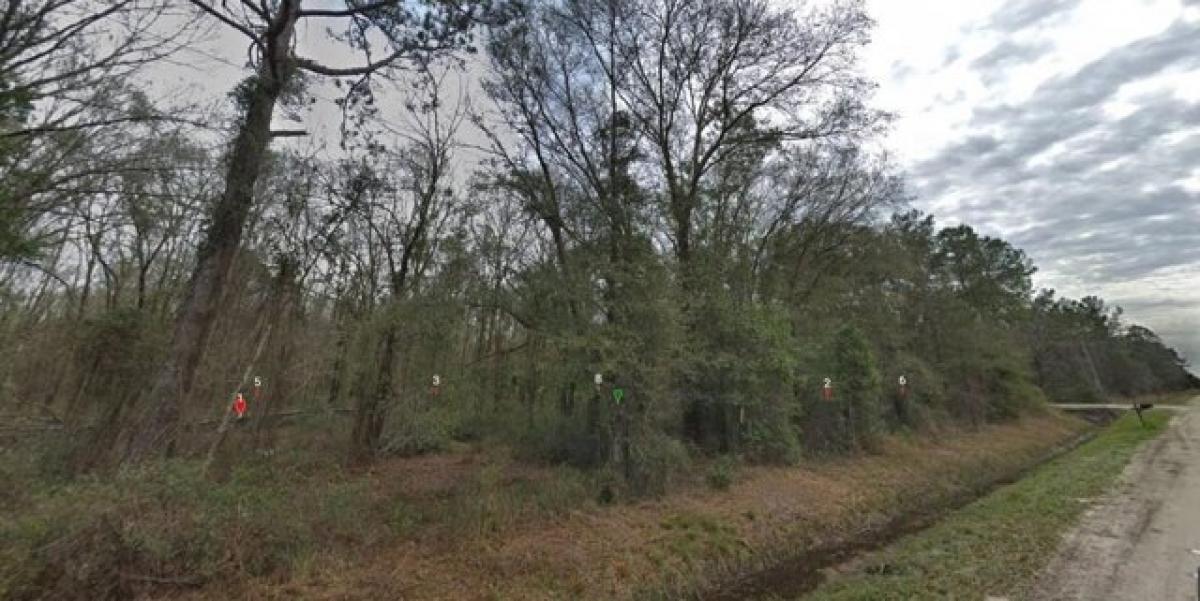 Picture of Residential Land For Sale in Hastings, Florida, United States