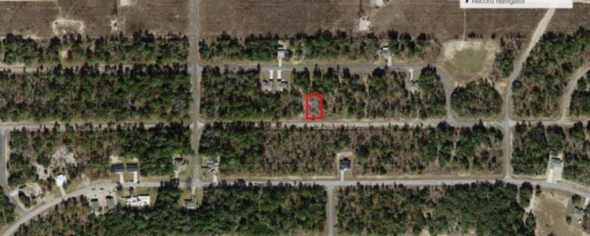 Picture of Residential Land For Sale in Citrus Springs, Florida, United States