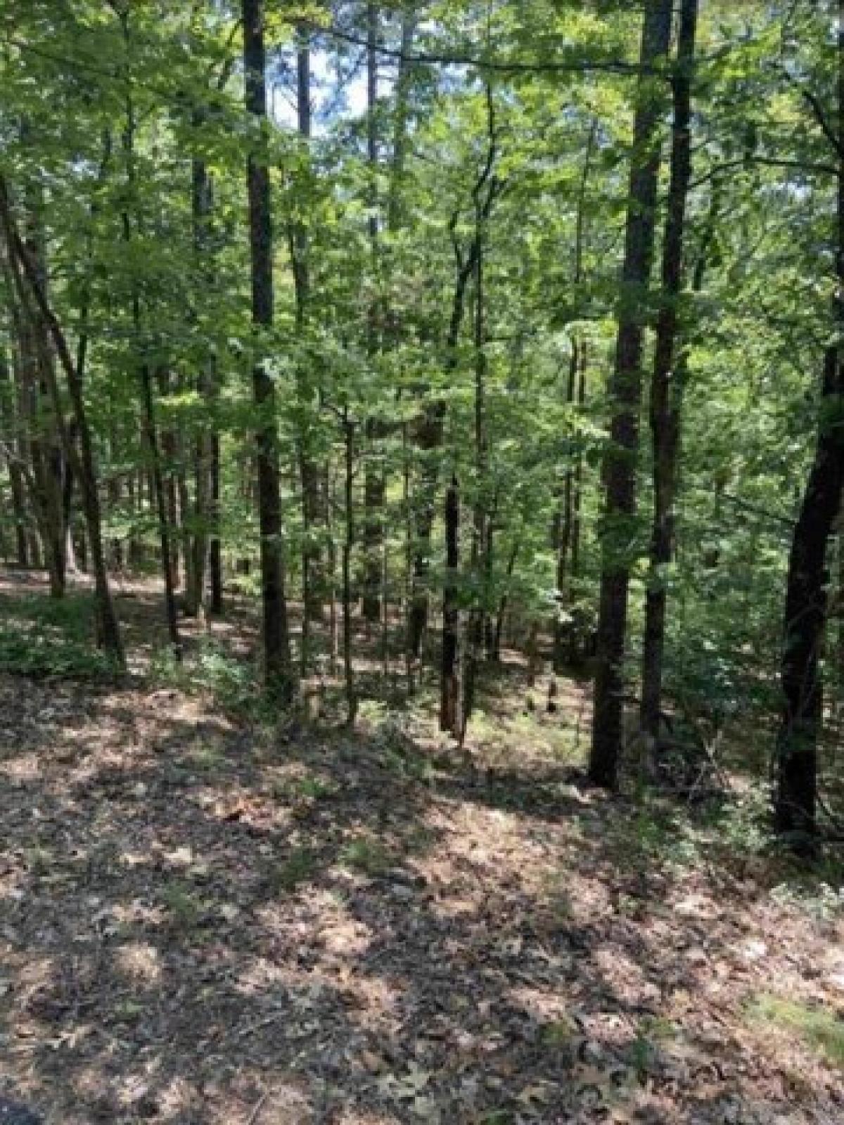 Picture of Residential Land For Sale in Hot Springs Village, Arkansas, United States