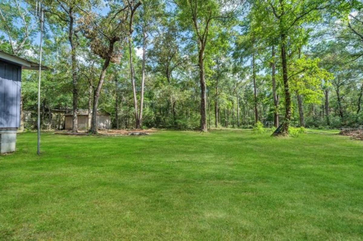 Picture of Home For Sale in New Caney, Texas, United States