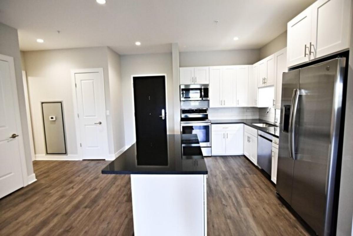 Picture of Apartment For Rent in Chicago, Illinois, United States