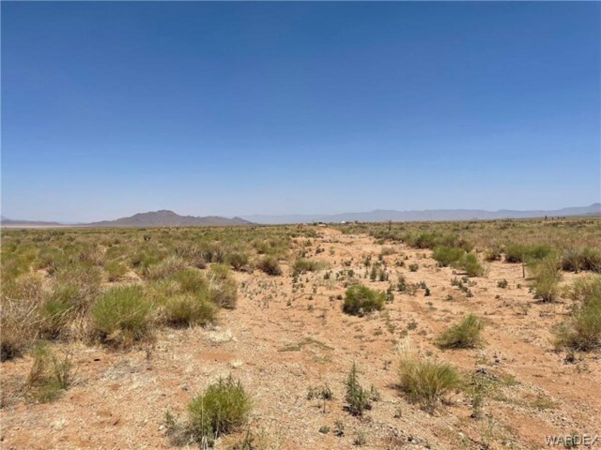 Picture of Residential Land For Rent in Kingman, Arizona, United States