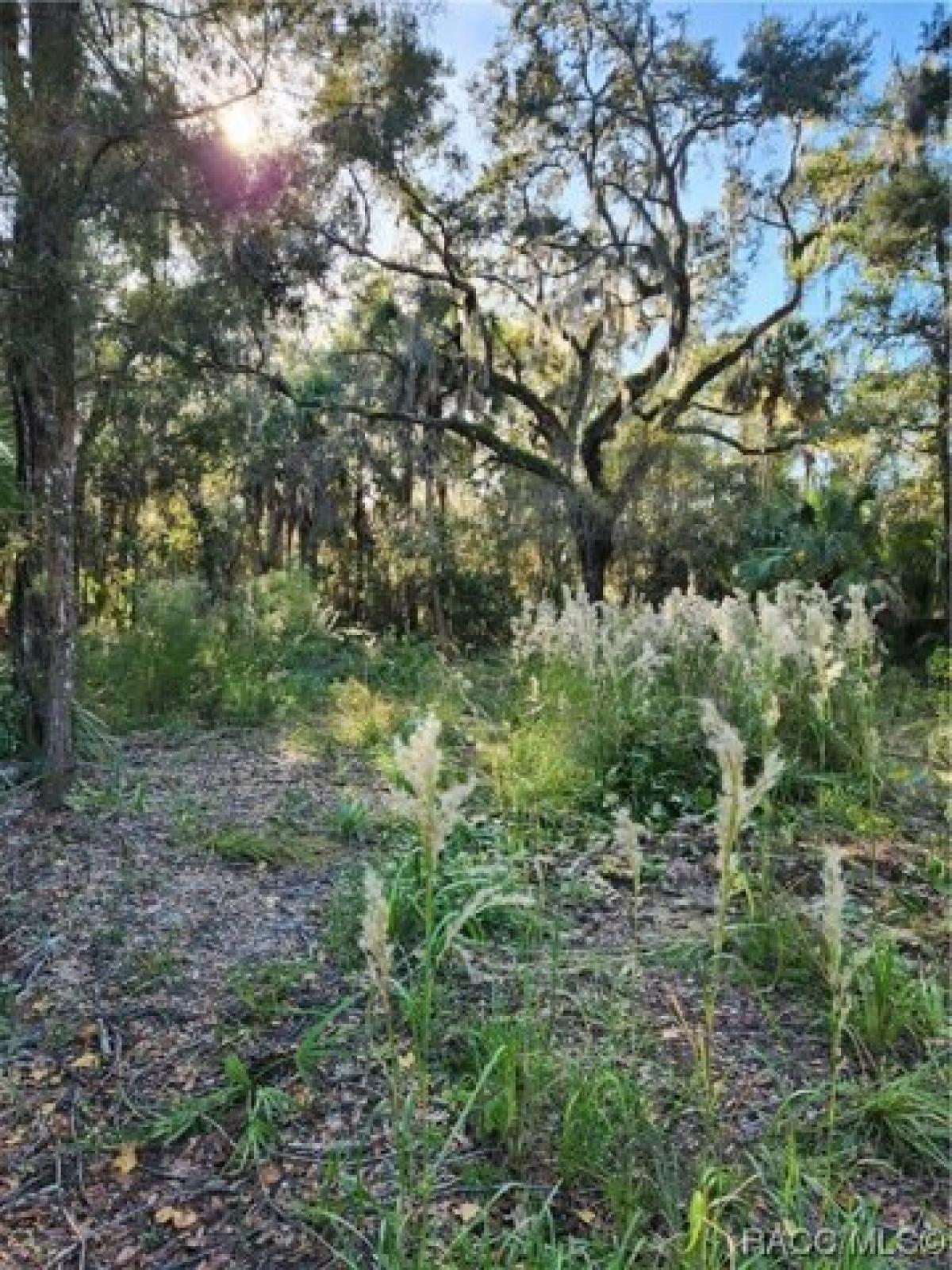 Picture of Residential Land For Sale in Crystal River, Florida, United States