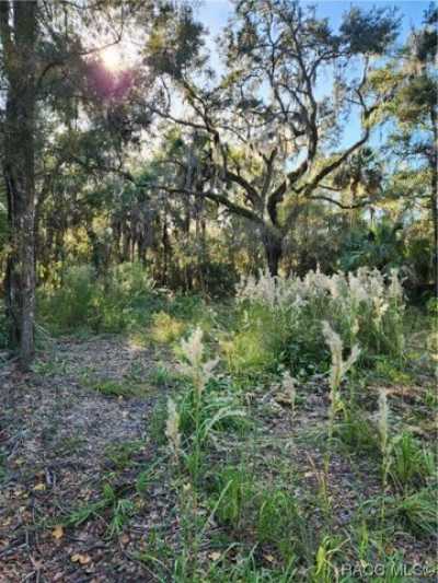 Residential Land For Sale in Crystal River, Florida