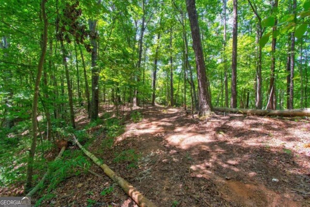 Picture of Residential Land For Sale in Dawsonville, Georgia, United States