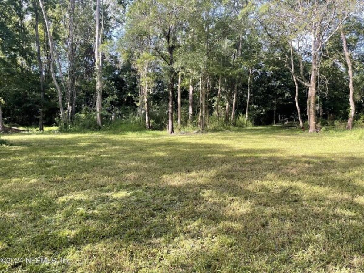 Picture of Residential Land For Sale in Middleburg, Florida, United States