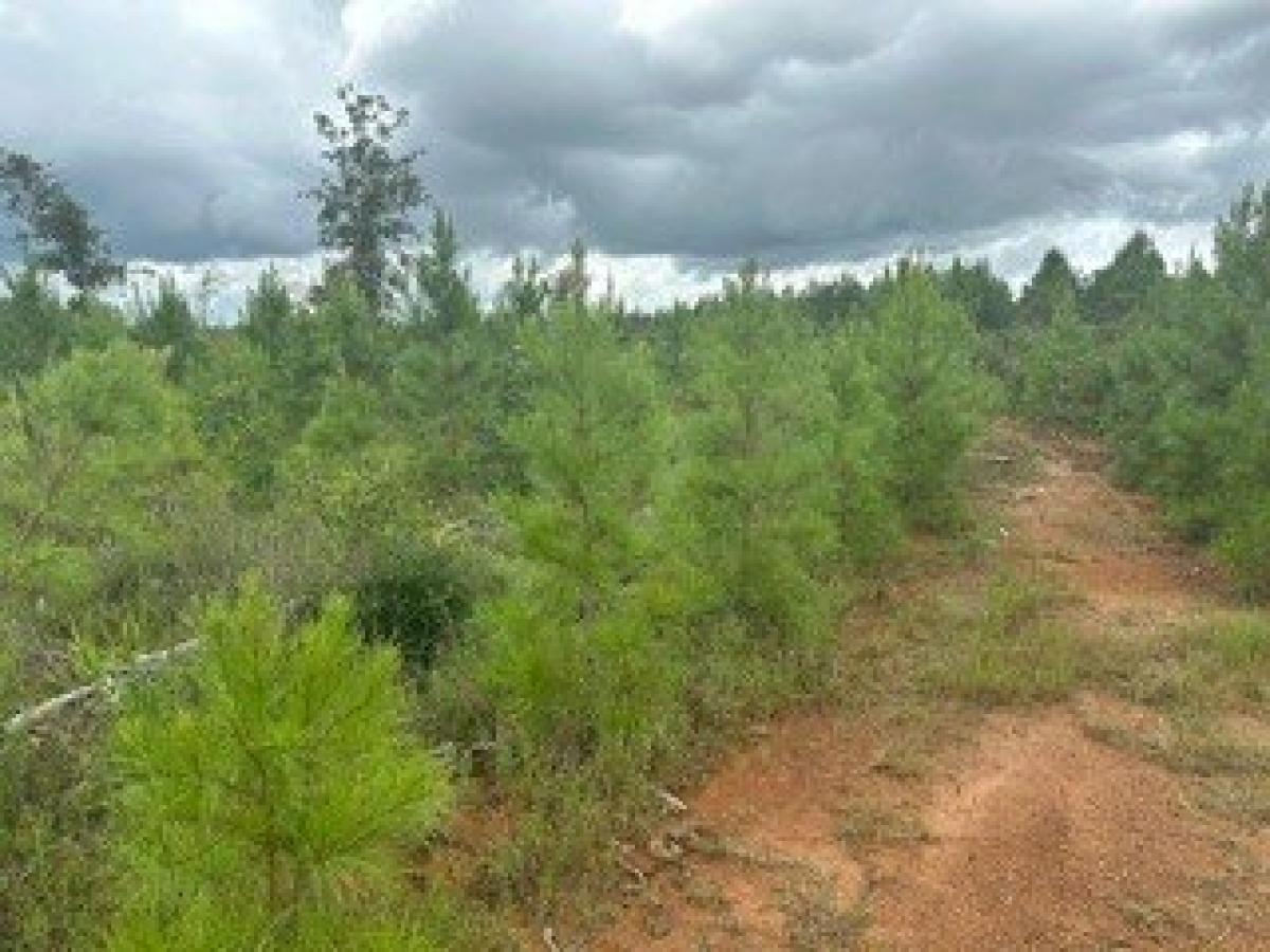 Picture of Residential Land For Sale in Livingston, Texas, United States