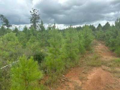 Residential Land For Sale in Livingston, Texas