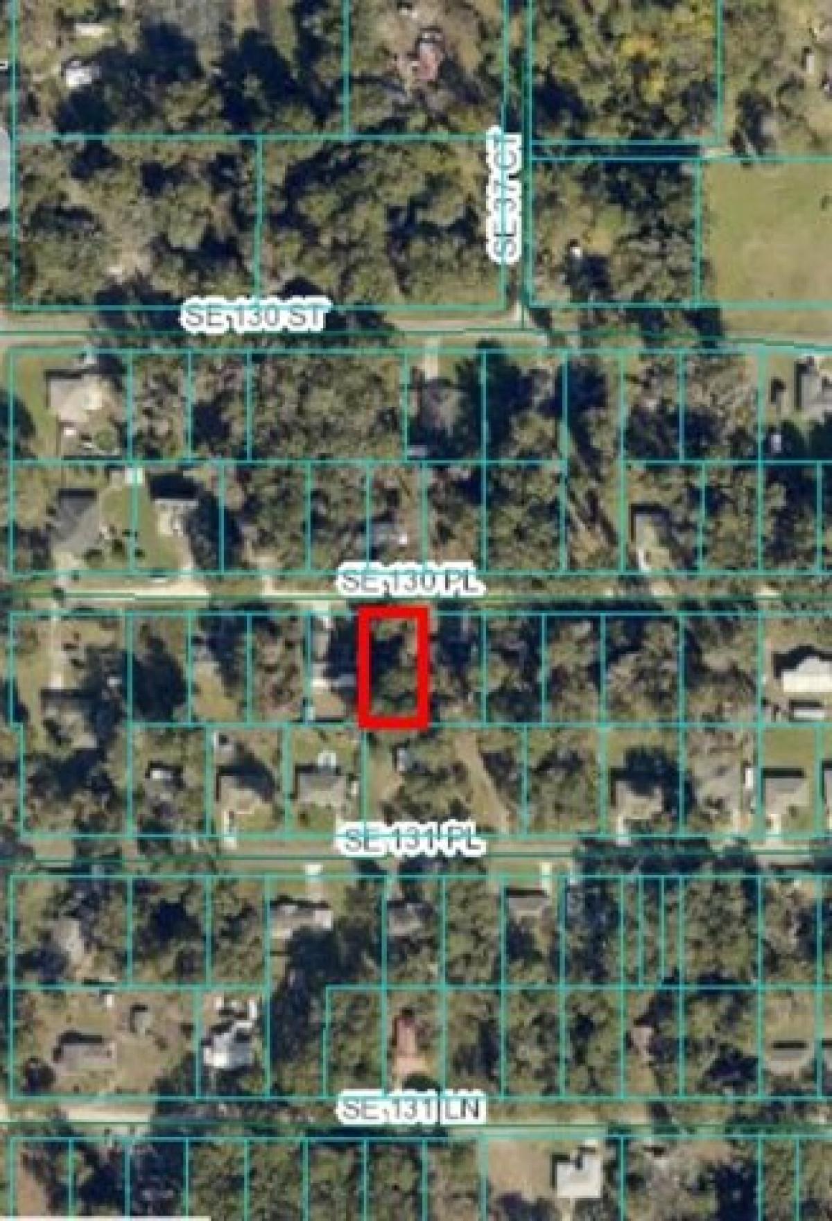 Picture of Residential Land For Sale in Summerfield, Florida, United States