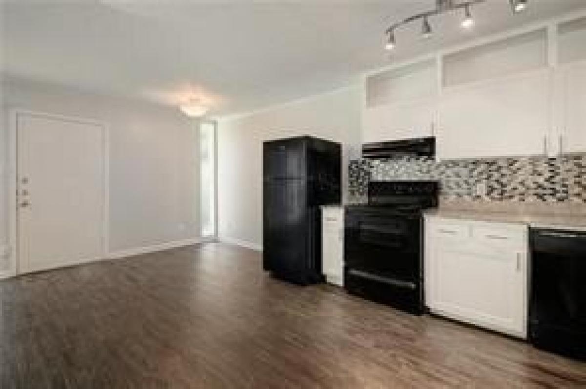 Picture of Apartment For Rent in Austin, Texas, United States