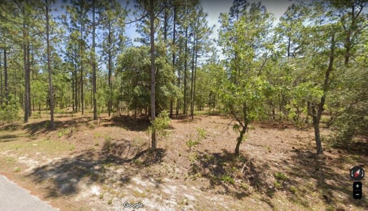 Picture of Residential Land For Sale in Dunnellon, Florida, United States