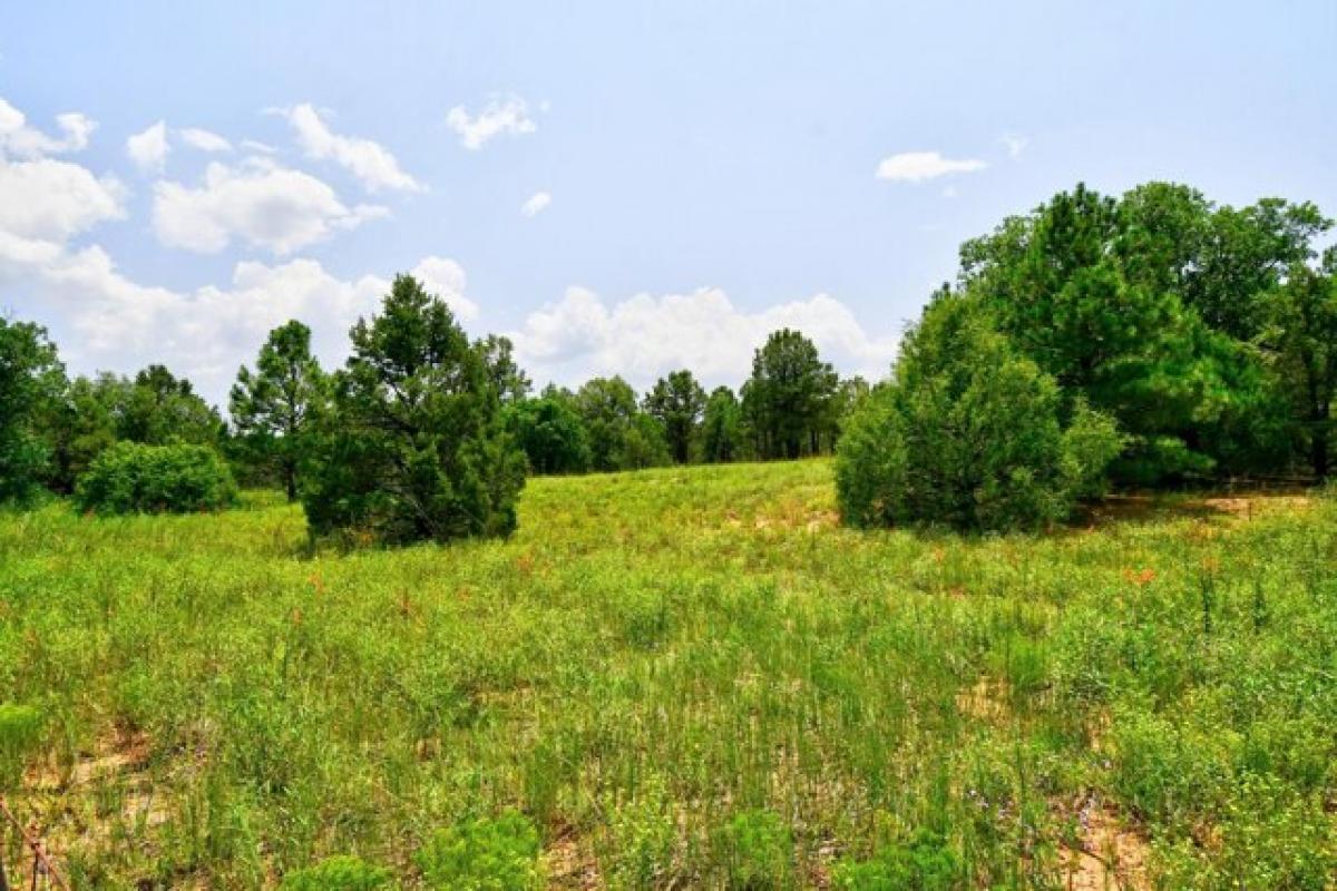Picture of Residential Land For Sale in Tijeras, New Mexico, United States