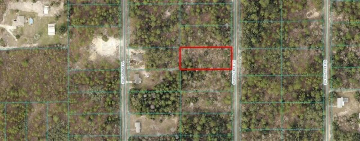 Picture of Residential Land For Sale in Dunnellon, Florida, United States
