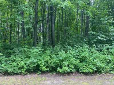 Residential Land For Rent in Elmira, Michigan