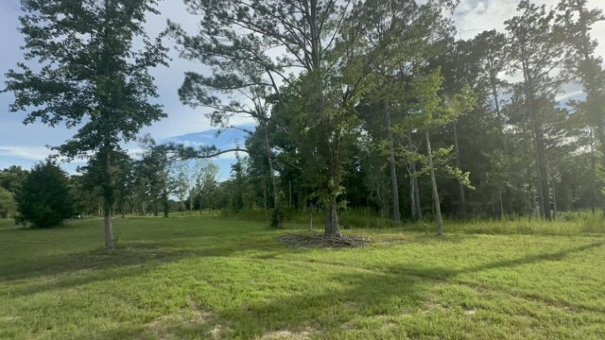 Picture of Residential Land For Sale in Defuniak Springs, Florida, United States