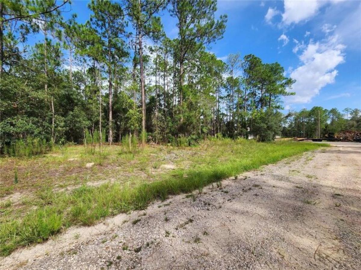 Picture of Residential Land For Sale in Dunnellon, Florida, United States