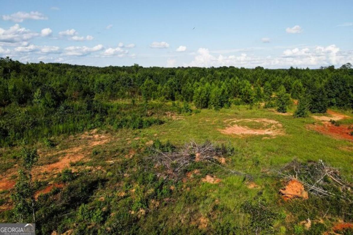 Picture of Residential Land For Sale in Buckhead, Georgia, United States