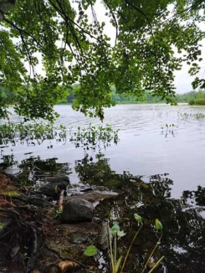 Residential Land For Sale in Liberty, Maine