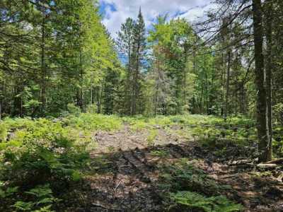 Residential Land For Sale in Little Lake, Michigan