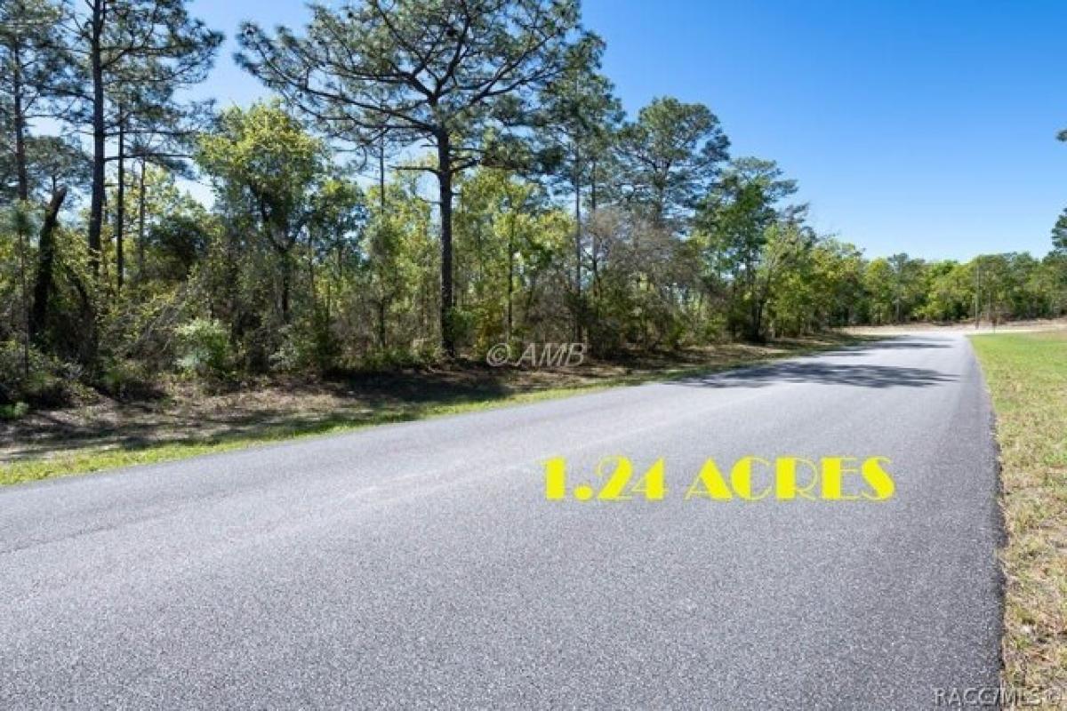 Picture of Residential Land For Sale in Citrus Springs, Florida, United States