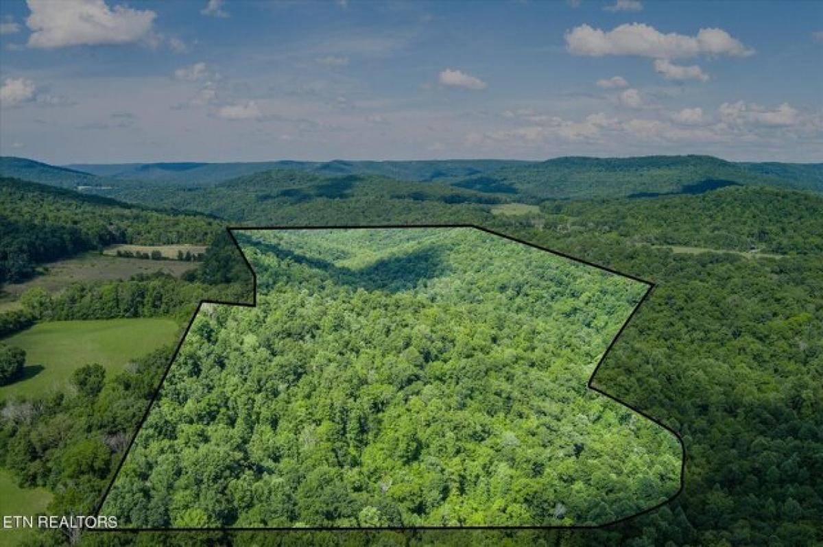Picture of Residential Land For Sale in Monterey, Tennessee, United States
