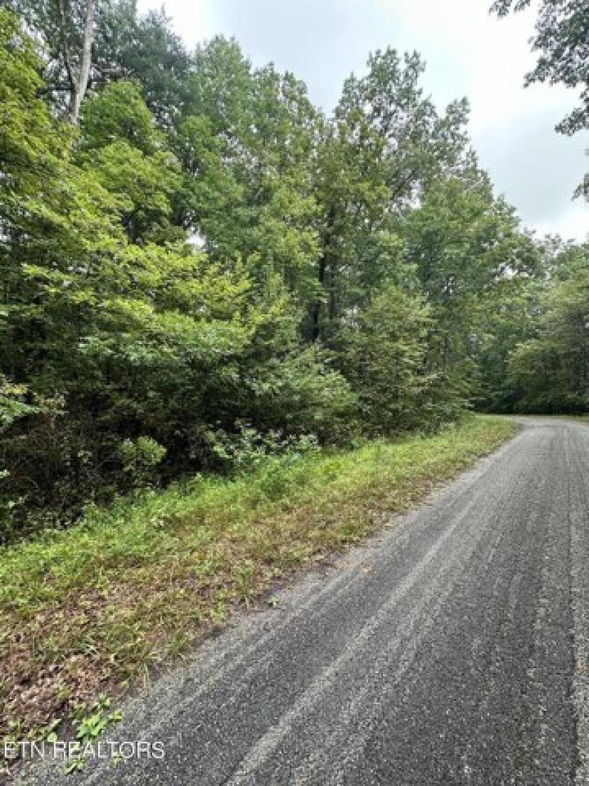 Picture of Residential Land For Rent in Crossville, Tennessee, United States