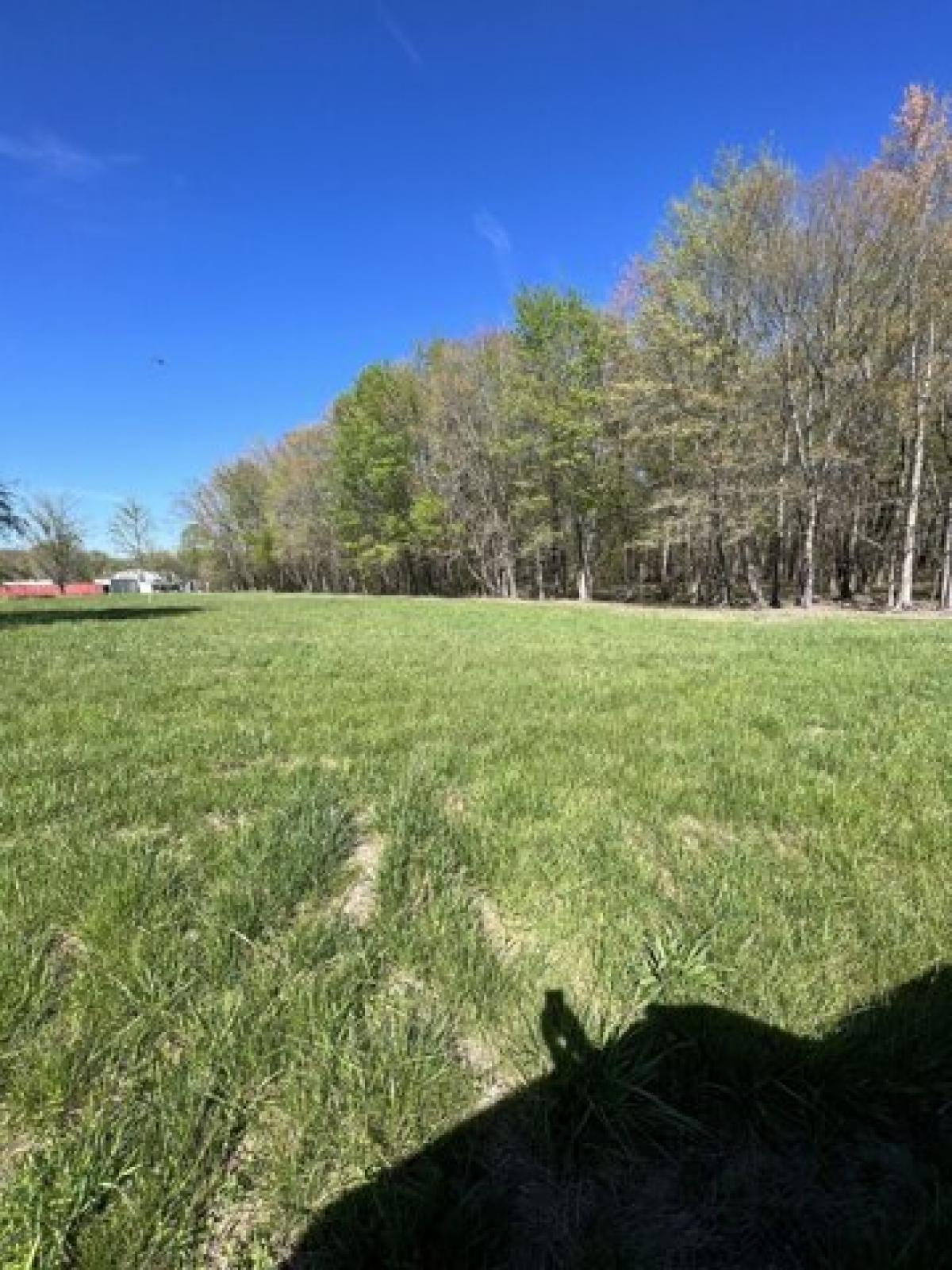 Picture of Residential Land For Sale in Lafayette, Tennessee, United States
