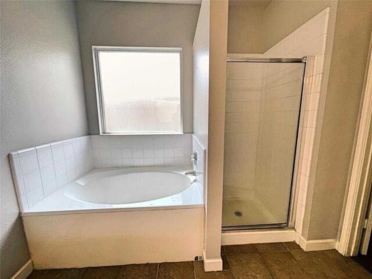 Picture of Home For Rent in New Braunfels, Texas, United States