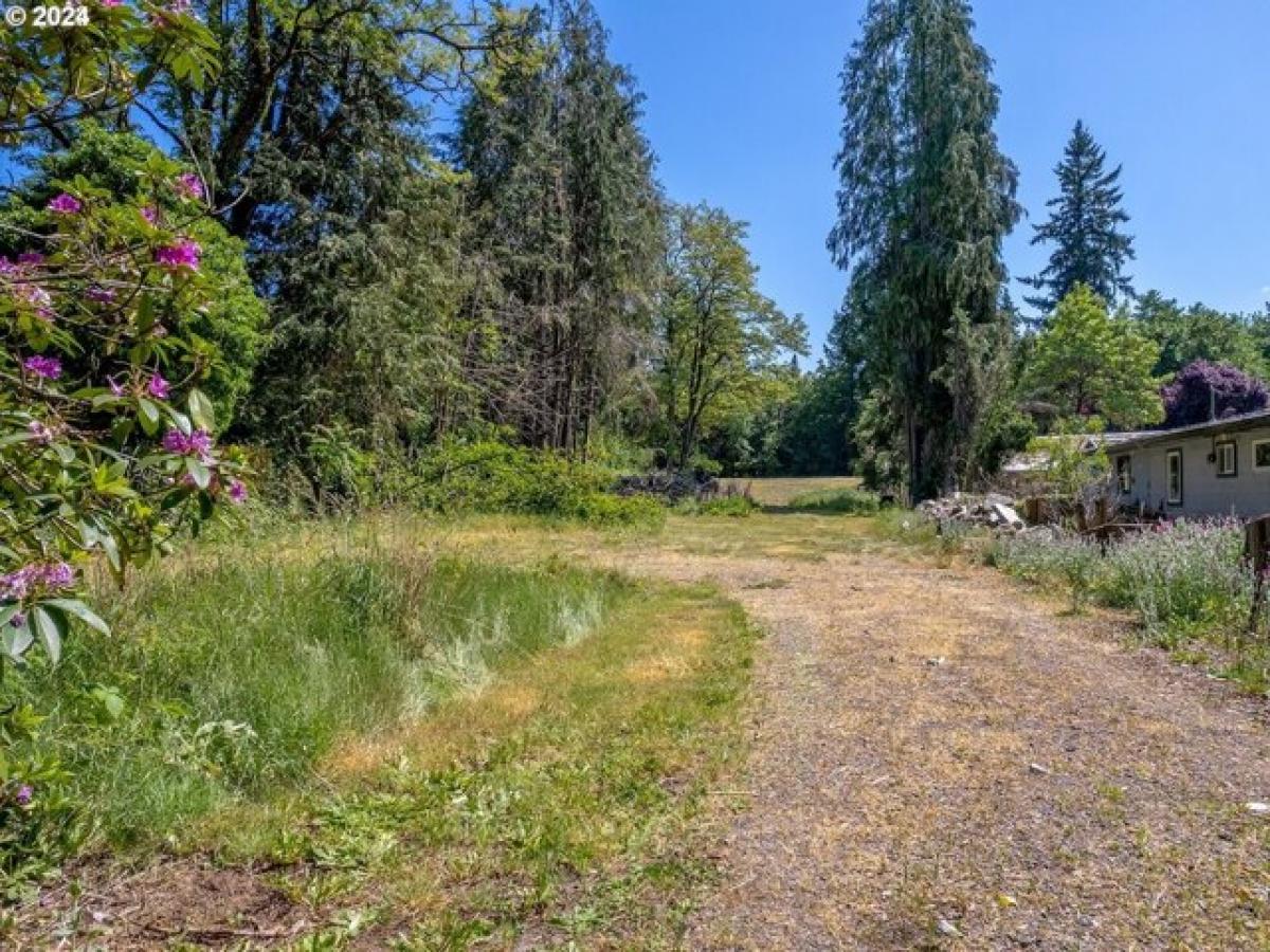 Picture of Residential Land For Sale in Washougal, Washington, United States