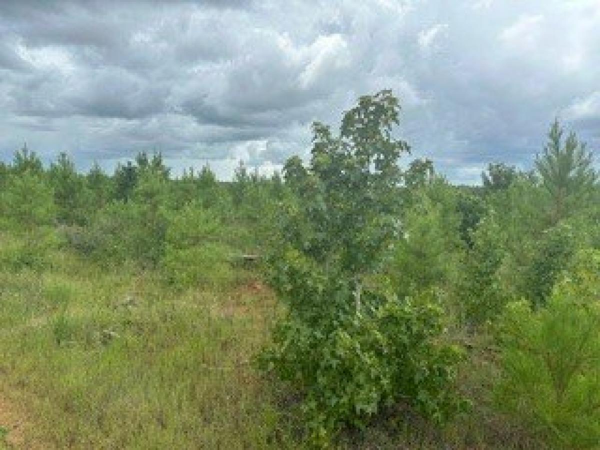 Picture of Residential Land For Sale in Livingston, Texas, United States