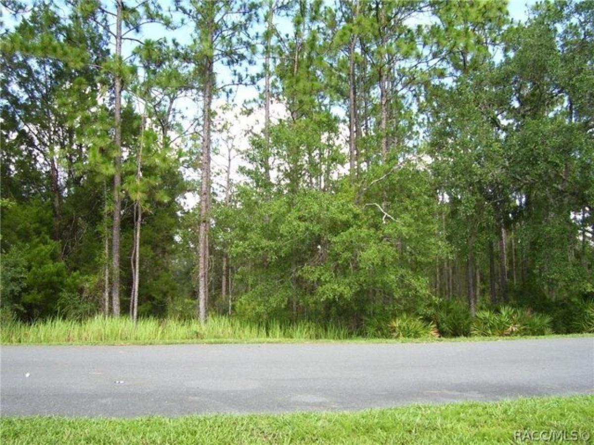 Picture of Residential Land For Sale in Homosassa, Florida, United States