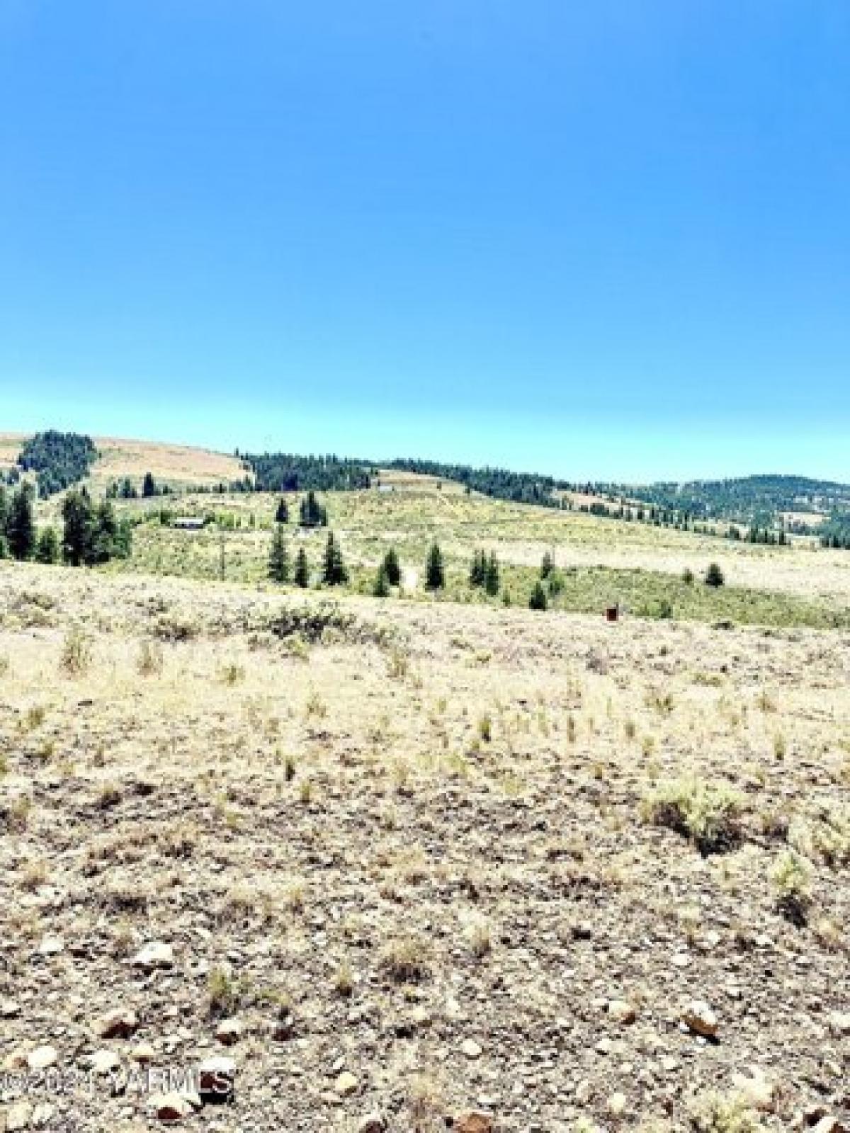 Picture of Residential Land For Sale in Cowiche, Washington, United States