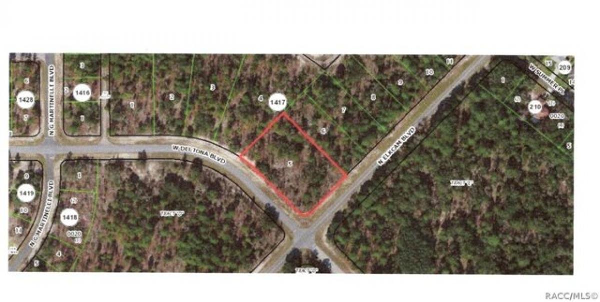Picture of Residential Land For Sale in Citrus Springs, Florida, United States
