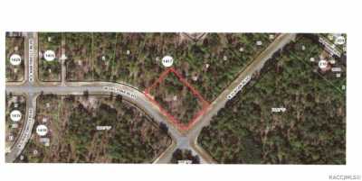 Residential Land For Sale in Citrus Springs, Florida