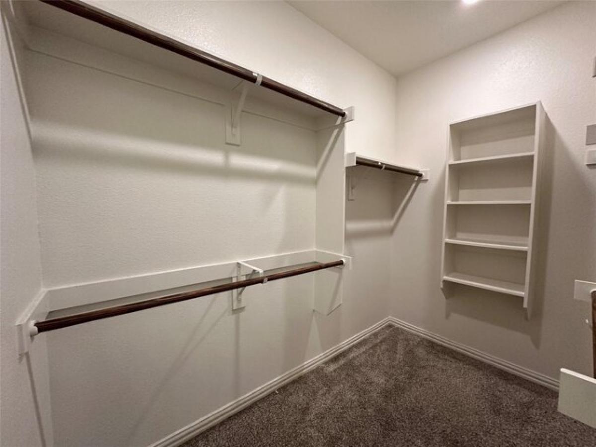 Picture of Home For Rent in Forney, Texas, United States