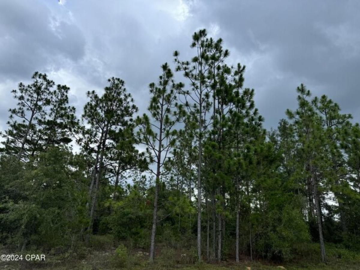 Picture of Residential Land For Sale in Chipley, Florida, United States