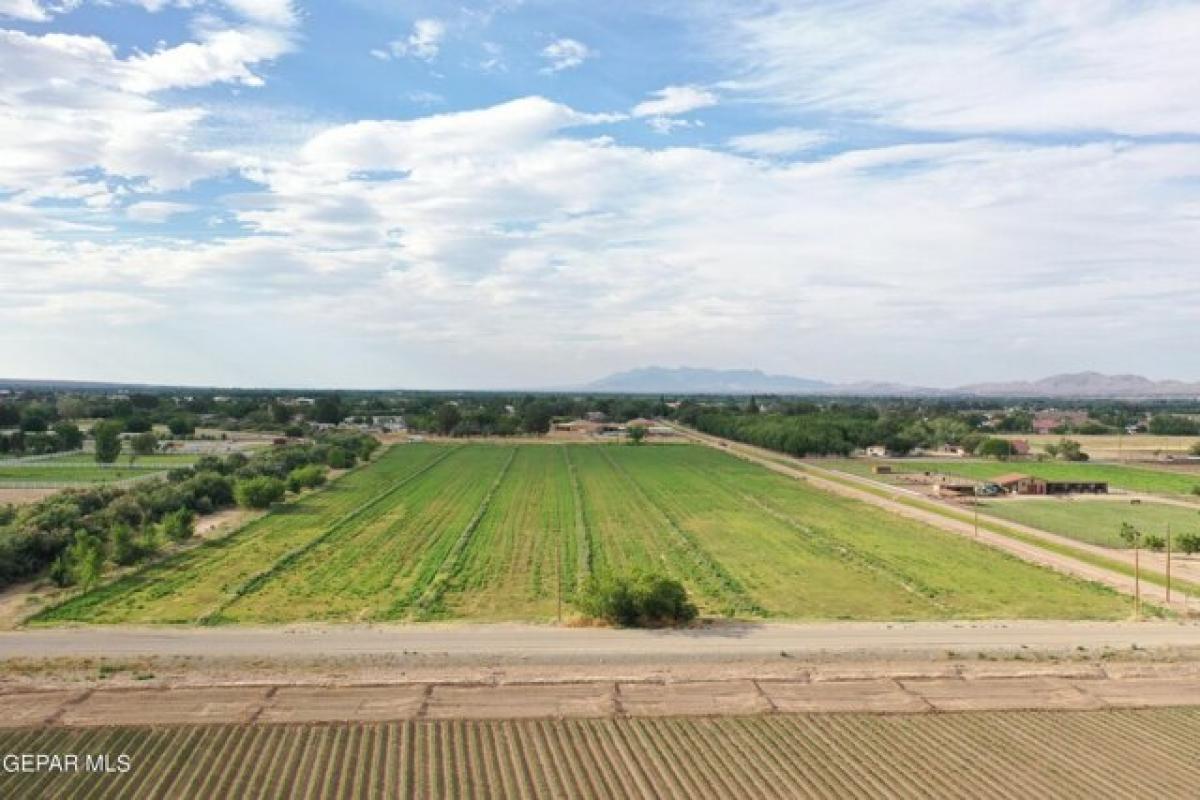 Picture of Residential Land For Sale in El Paso, Texas, United States