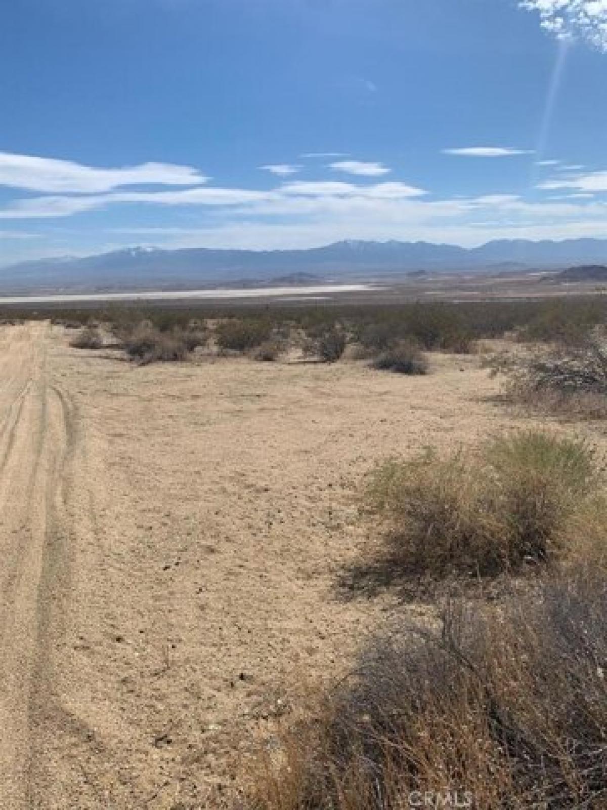Picture of Residential Land For Sale in Adelanto, California, United States