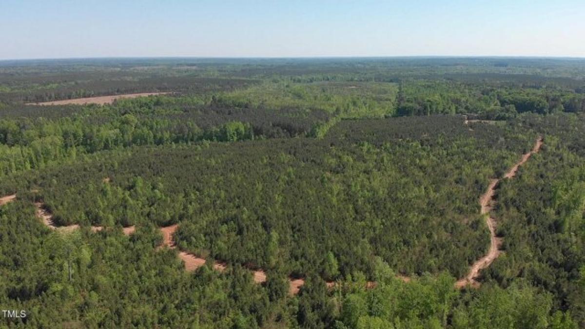 Picture of Residential Land For Rent in Warrenton, North Carolina, United States