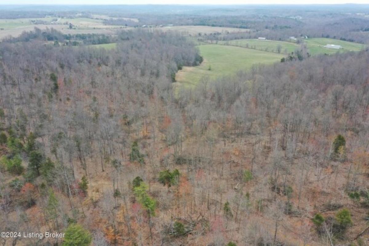 Picture of Residential Land For Sale in Clarkson, Kentucky, United States