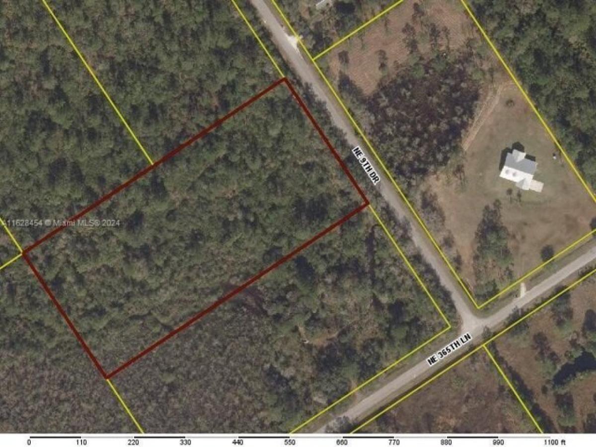 Picture of Residential Land For Sale in Okeechobee, Florida, United States