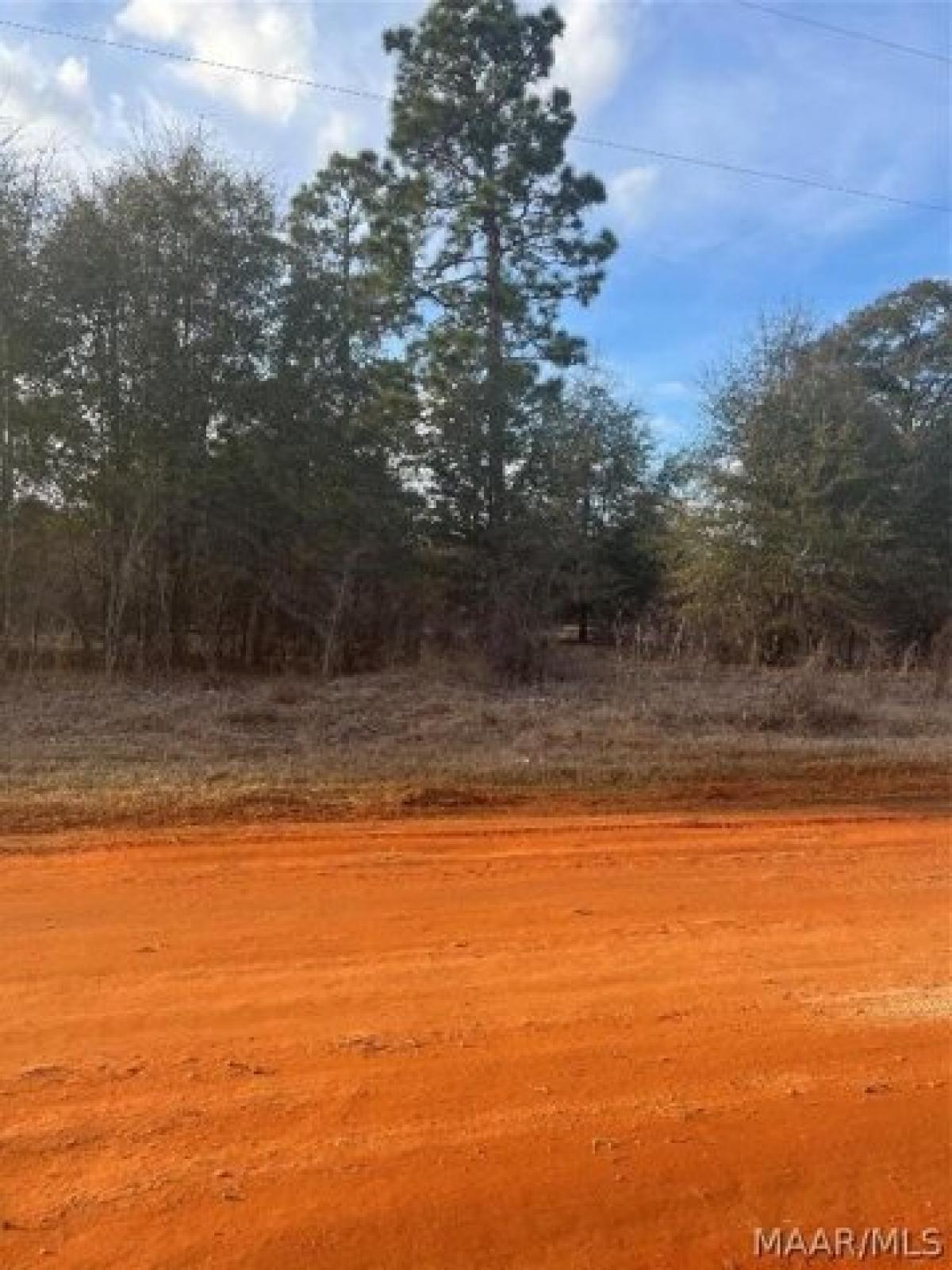 Picture of Residential Land For Sale in Camden, Alabama, United States