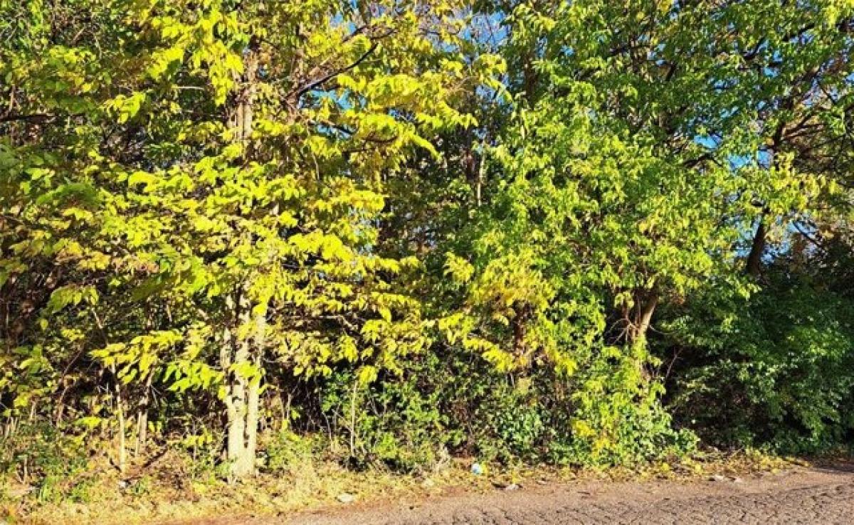 Picture of Residential Land For Sale in Indianapolis, Indiana, United States