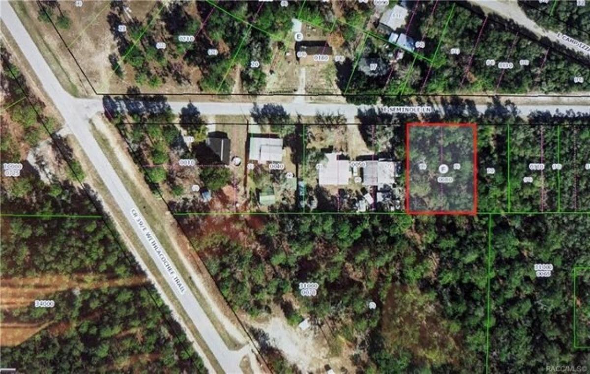 Picture of Residential Land For Sale in Dunnellon, Florida, United States